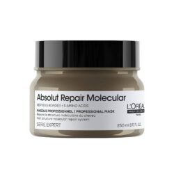 L'Oreal Serie Expert Absolut Repair Molecular Mask 250ml